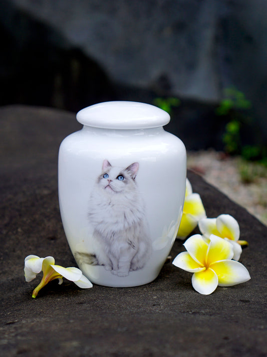 Custom hand-painted pet portrait porcelain cremation urn
